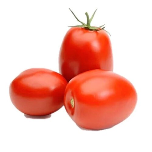TOMATE KG