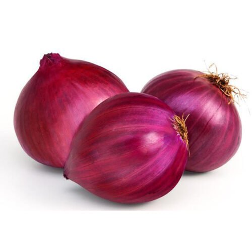 CEBOLA ROXA KG